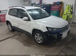 WVGBV7AX2HK038310 2017 VOLKSWAGEN TIGUAN