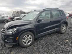 WVGBV7AX3GW597565 2016 VOLKSWAGEN TIGUAN