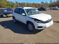 WVGBV7AX3HK004974 2017 VOLKSWAGEN TIGUAN