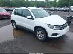 WVGBV7AX3HK025646 2017 VOLKSWAGEN TIGUAN