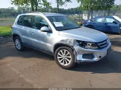 WVGBV7AX3HK041961 2017 VOLKSWAGEN TIGUAN