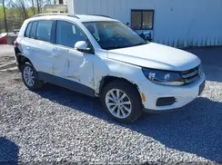 WVGBV7AX3HK049459 2017 VOLKSWAGEN TIGUAN
