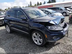 WVGBV7AX4GW579981 2016 VOLKSWAGEN TIGUAN