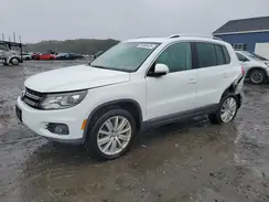 WVGBV7AX4GW587627 2016 VOLKSWAGEN TIGUAN