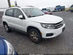 WVGBV7AX4HK029463 2017 VOLKSWAGEN TIGUAN