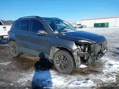 WVGBV7AX5HK026605 2017 VOLKSWAGEN TIGUAN