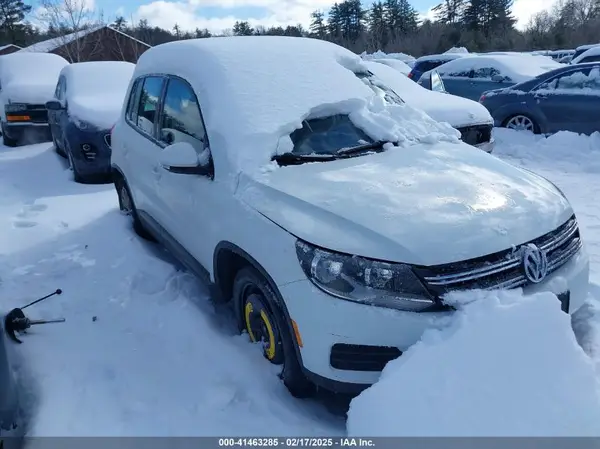 WVGBV7AX5HK049074 2017 VOLKSWAGEN TIGUAN - Image 1