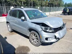 WVGBV7AX5HK052461 2017 VOLKSWAGEN TIGUAN