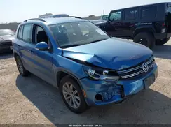 WVGBV7AX5HK053335 2017 VOLKSWAGEN TIGUAN