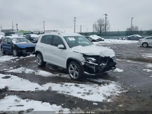 WVGBV7AX6GW049513 2016 VOLKSWAGEN TIGUAN - Image 1