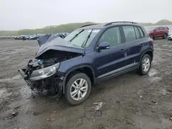 WVGBV7AX6GW555262 2016 VOLKSWAGEN TIGUAN