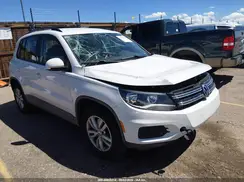 WVGBV7AX6HK009179 2017 VOLKSWAGEN TIGUAN