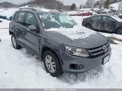 WVGBV7AX6HK020604 2017 VOLKSWAGEN TIGUAN