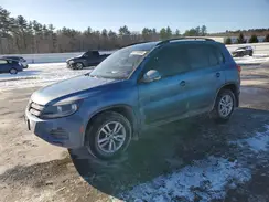 WVGBV7AX6HW513272 2017 VOLKSWAGEN TIGUAN