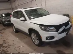 WVGBV7AX7GW543282 2016 VOLKSWAGEN TIGUAN