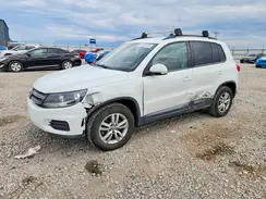 WVGBV7AX7GW559501 2016 VOLKSWAGEN TIGUAN