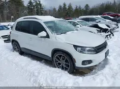 WVGBV7AX7HK044071 2017 VOLKSWAGEN TIGUAN