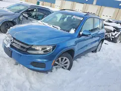 WVGBV7AX7HK047262 2017 VOLKSWAGEN TIGUAN