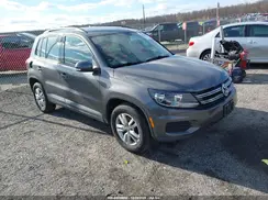 WVGBV7AX8GW508914 2016 VOLKSWAGEN TIGUAN