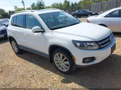 WVGBV7AX8GW529181 2016 VOLKSWAGEN TIGUAN