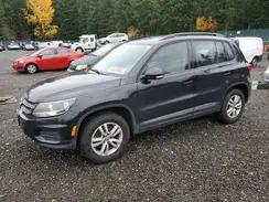 WVGBV7AX8GW553836 2016 VOLKSWAGEN TIGUAN