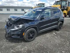 WVGBV7AX8GW583337 2016 VOLKSWAGEN TIGUAN