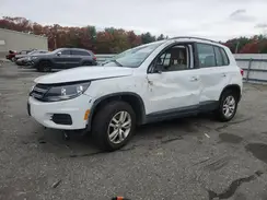 WVGBV7AX8HK036559 2017 VOLKSWAGEN TIGUAN