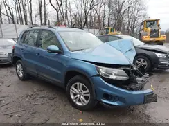 WVGBV7AX8HW503018 2017 VOLKSWAGEN TIGUAN