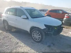 WVGBV7AX9GW560228 2016 VOLKSWAGEN TIGUAN