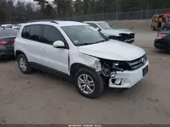 WVGBV7AX9HK023061 2017 VOLKSWAGEN TIGUAN