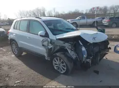 WVGBV7AX9HK046260 2017 VOLKSWAGEN TIGUAN
