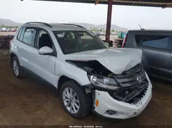 WVGBV7AX9HK049983 2017 VOLKSWAGEN TIGUAN