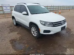 WVGBV7AX9HK054939 2017 VOLKSWAGEN TIGUAN