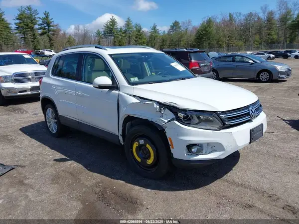WVGBV7AXXGW507473 2016 VOLKSWAGEN TIGUAN - Image 1