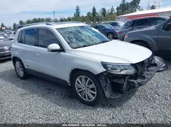 WVGBV7AXXGW580052 2016 VOLKSWAGEN TIGUAN