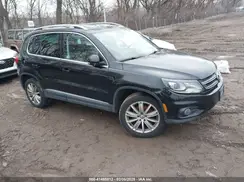 WVGBV7AXXGW581315 2016 VOLKSWAGEN TIGUAN