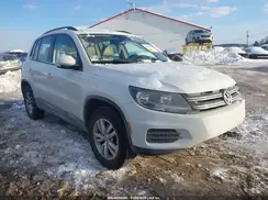 WVGBV7AXXHK038040 2017 VOLKSWAGEN TIGUAN