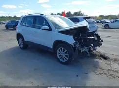WVGBV7AXXHK043075 2017 VOLKSWAGEN TIGUAN