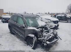 WVGHV7AX5HK040143 2017 VOLKSWAGEN TIGUAN