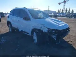 WVGMV7AX8HK041334 2017 VOLKSWAGEN TIGUAN