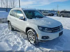 WVGNV7AX1HK031703 2017 VOLKSWAGEN TIGUAN