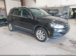WVGRV7AX1HK041049 2017 VOLKSWAGEN TIGUAN