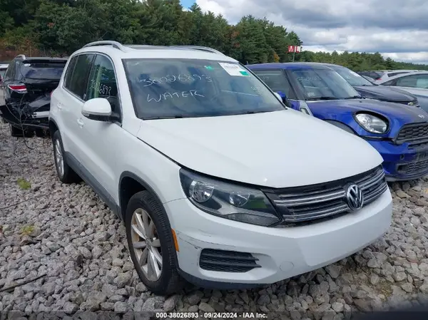 WVGRV7AX1HW505773 2017 VOLKSWAGEN TIGUAN - Image 1