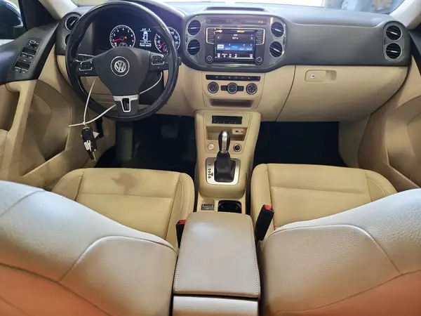 WVGRV7AX1HW508477 2017 VOLKSWAGEN TIGUAN - Image 8