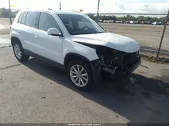 WVGRV7AXXHW509109 2017 VOLKSWAGEN TIGUAN
