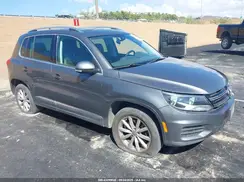 WVGSV7AX0HK030111 2017 VOLKSWAGEN TIGUAN