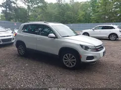 WVGSV7AX0HK031372 2017 VOLKSWAGEN TIGUAN