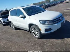 WVGSV7AX1HK022308 2017 VOLKSWAGEN TIGUAN