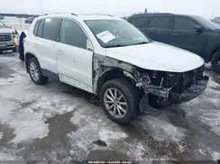 WVGSV7AX3HW506117 2017 VOLKSWAGEN TIGUAN