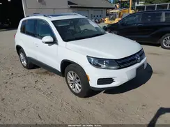 WVGSV7AX6HK030131 2017 VOLKSWAGEN TIGUAN